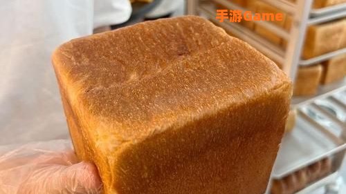 吐司app